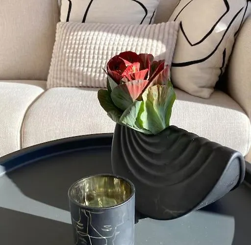 Апартаменты Stilvolles Ferinen-apartment Im Herzen Von Ксантен